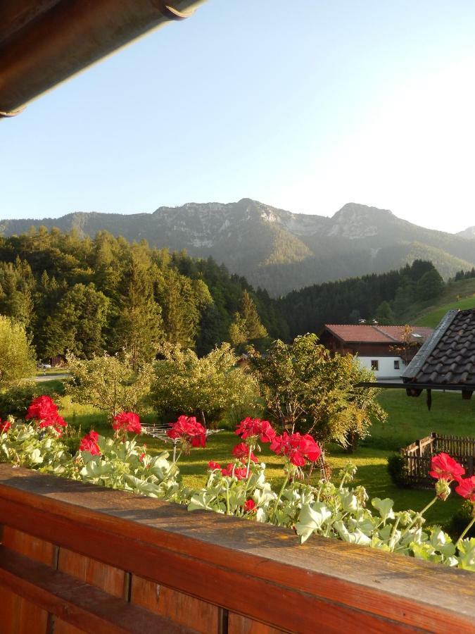 Haus Bergschmied Apartamento Inzell Exterior foto
