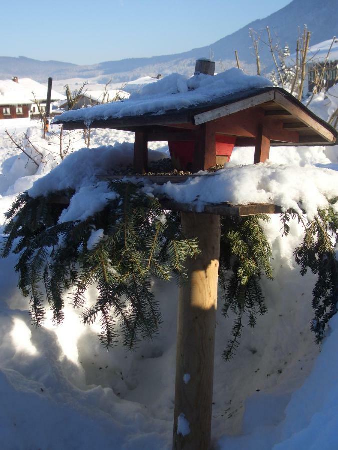 Haus Bergschmied Apartamento Inzell Exterior foto